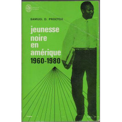 Jeunesse noire en amerique 1960-1980