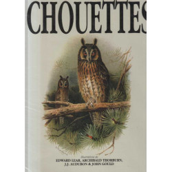 Chouettes