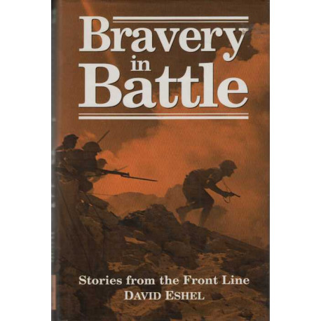 Bravery in Battle: Stories from the Front Line