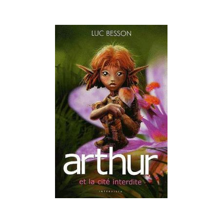Arthur et les Minimoys (édition 2006) tome 2 : Arthur et la cité...