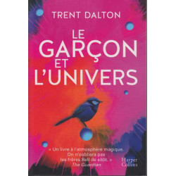 Le garçon et l'univers