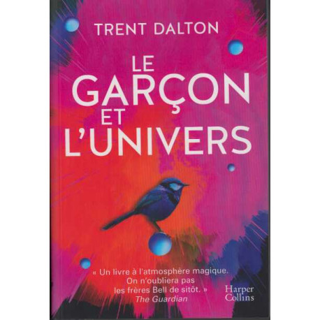 Le garçon et l'univers