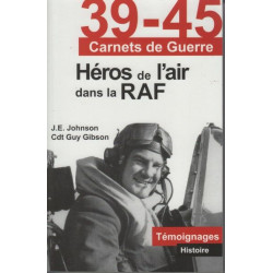 39-45 carnets de guerre : Héros de l'air dans la RAF