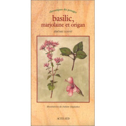 Basilic marjolaine et origan