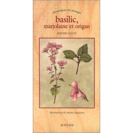 Basilic marjolaine et origan