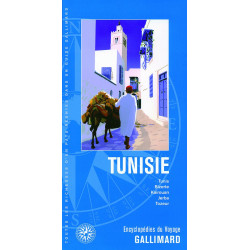 Tunisie: Tunis Bizerte Kairouan Jerba Tozeur