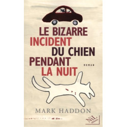 Le bizarre incident du chien pendant la nuit