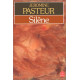 Silène
