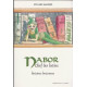 Nabor chef des lutins