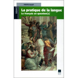 La pratique de la langue : Le français en questions(s)