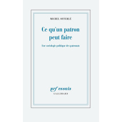 Ce qu'un patron peut faire: Une sociologie politique des patronats