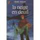 Neige En Deuil