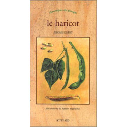 Le Haricot: CHRONIQUES DU POTAGER