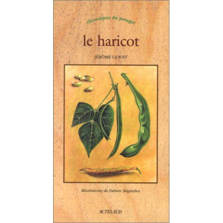 Le Haricot: CHRONIQUES DU POTAGER