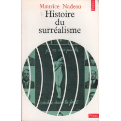Gustave Flaubert écrivain