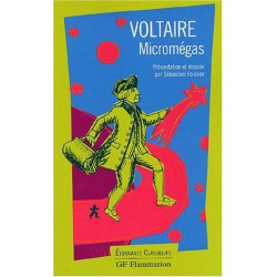 Micromégas