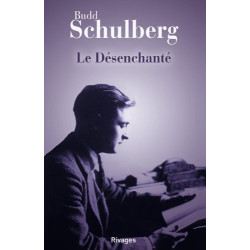 Le désenchanté