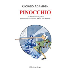 Pinocchio: Les aventures d'un pantin doublement commentées et...