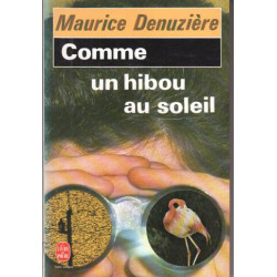 Comme un hibou au soleil