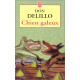 Chien galeux