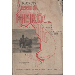 Remous du Mékong: sursauts de l'Asie. Préface de Marc Rucart