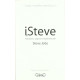 I steve intuitions sagesses