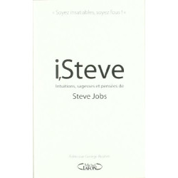 I steve intuitions sagesses