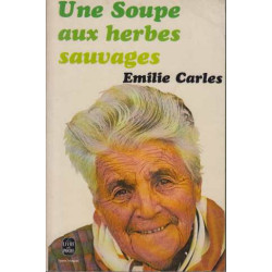 Une Soupe aux herbes sauvages