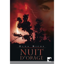 Nuit d'orage