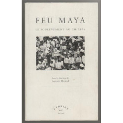 Feu maya le soulevement au chiapas