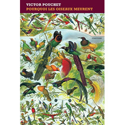 Pourquoi les oiseaux meurent