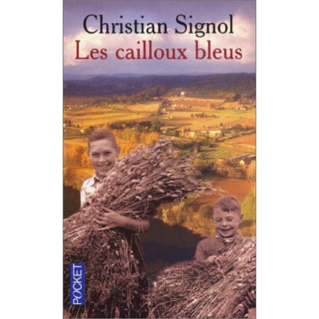 Les cailloux bleus