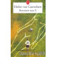 Rencontres sous x