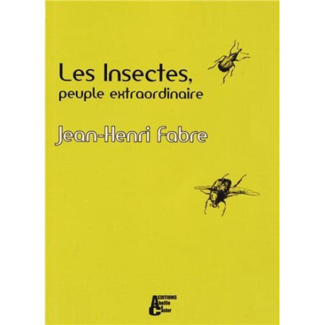 Les insectes peuple extraordinaire