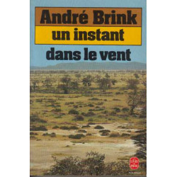 Un Instant dans le vent