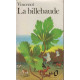 La Billebaude