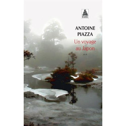 Un voyage au Japon