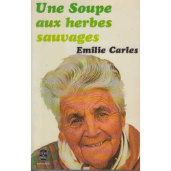 Une Soupe aux herbes sauvages