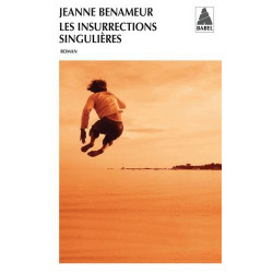 Les insurrections singulières