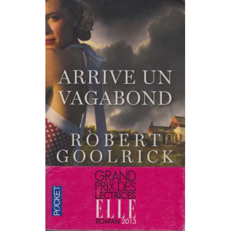 Arrive un vagabond