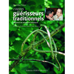 L'UNIVERS DES GUERISSEURS TRADITIONNELS: Panseurs de secrets et...