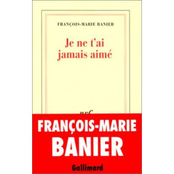 Je ne t'ai jamais aimé