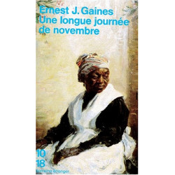 Une longue journée de novembre. suivi de Le ciel est gris