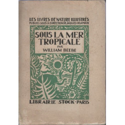 Sous la mer tropicale