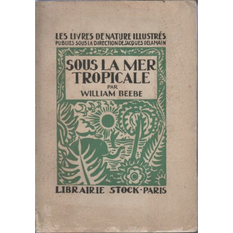Sous la mer tropicale