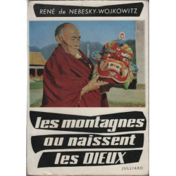 Les Montagnes où naissent les dieux : Journal d'une époque...
