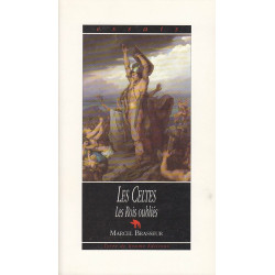 Les Celtes. Les Rois oubliés