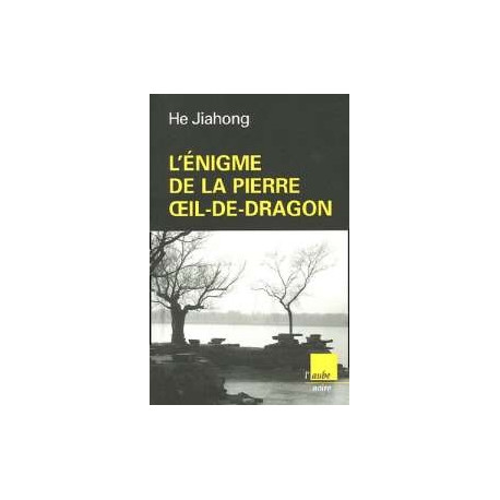L'enigme De La Pierre Oeil De Dragon