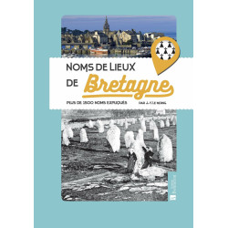 Noms de lieux de Bretagne: Plus de 1500 noms expliqués