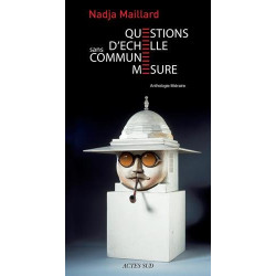 Questions d'échelle : Sans commune mesure